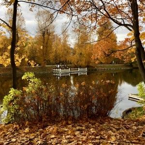 Meet your Posher, Olga